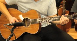 4 New Models to Celebrate Breedlove’s 25th Anniversary