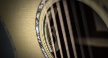 L.R. Baggs Anthem Acoustic Guitar Pickup Review w/ Sound Samples