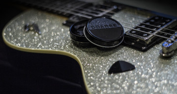 Coarse Picks Review