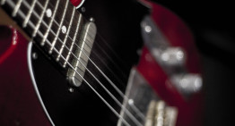 Porter Custom Telecaster Pickups Review