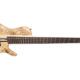Cort Introduces the 5-string A5 Plus SCFF Bass